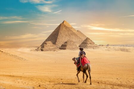 Camel and the Pyramids