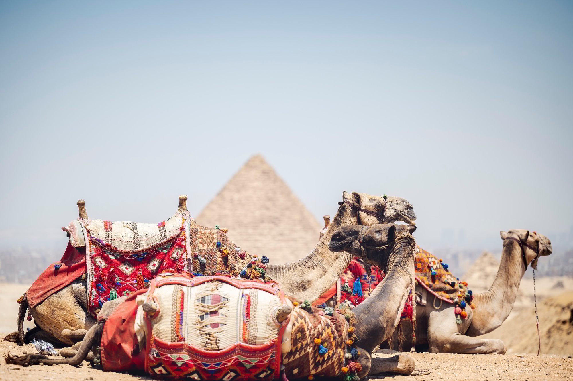 Mondes Travel