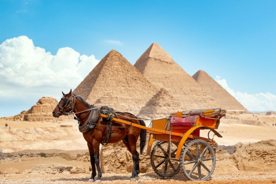 District of city of Giza